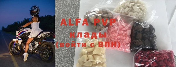 гашик Тавда
